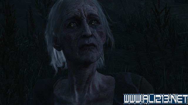 《巫師3:狂獵》血與酒及石之心DLC全劇情圖文流程攻略 《巫師3:狂獵》血與酒及石之心DLC全劇情圖文流程攻略