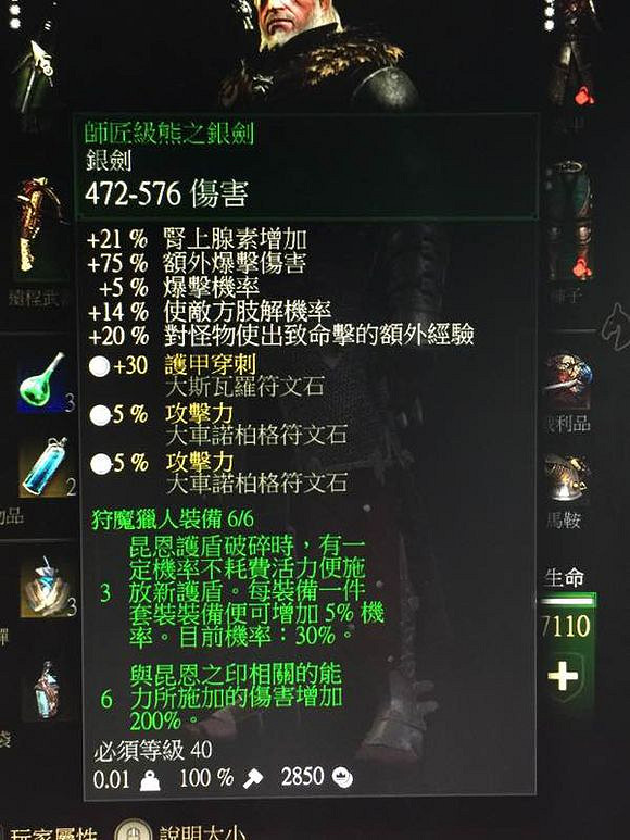 《巫師3:狂獵》師匠級熊裝賞析 《巫師3:狂獵》師匠級熊裝賞析