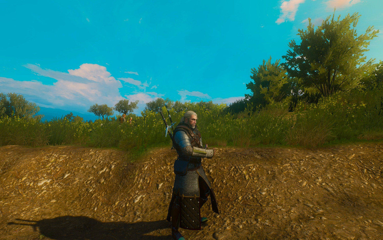 《巫師3:狂獵》萌新向流派推薦及技能科普 《巫師3:狂獵》萌新向流派推薦及技能科普