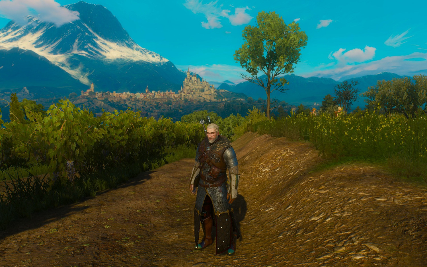 《巫師3:狂獵》萌新向流派推薦及技能科普 《巫師3:狂獵》萌新向流派推薦及技能科普