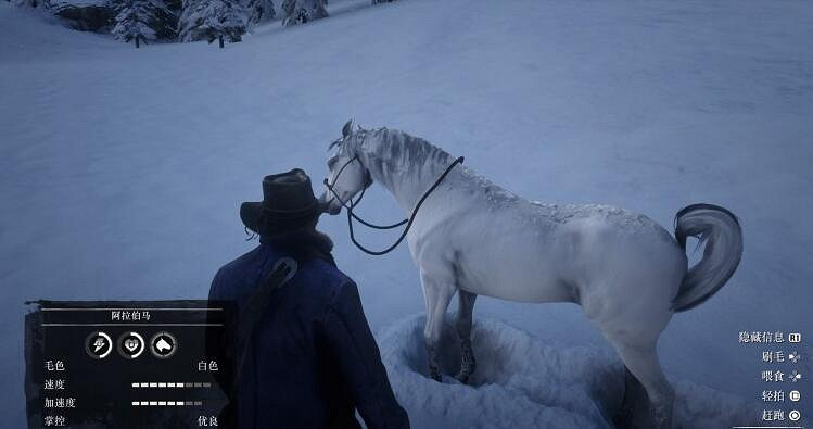 《荒野大鏢客2》阿拉伯白馬多少章才有?白馬捕捉及馴服方法影片教學 《荒野大鏢客2》阿拉伯白馬多少章才有?白馬捕捉及馴服方法影片教學