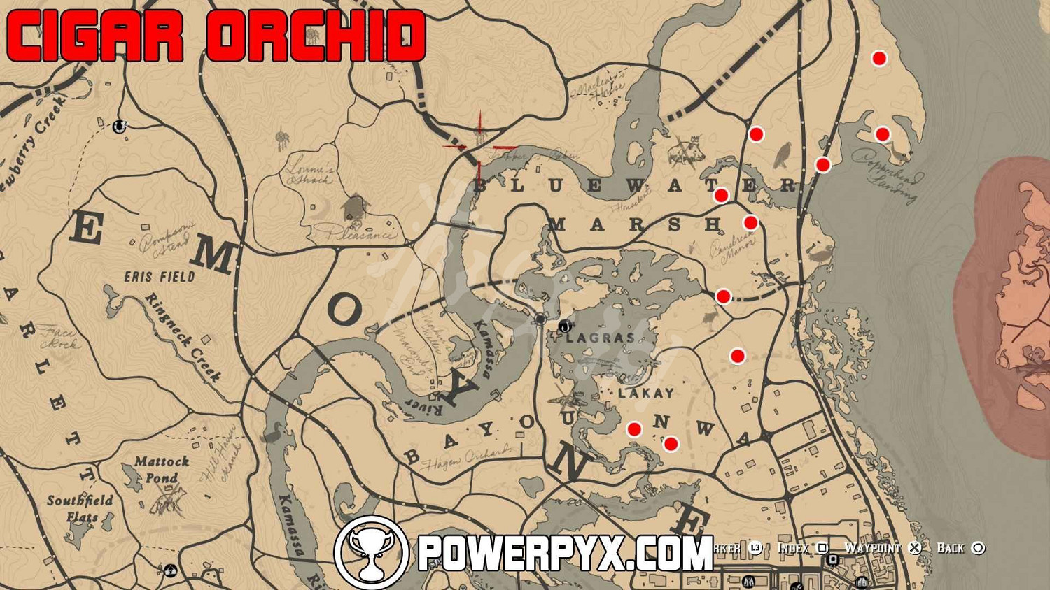 《荒野大鏢客2》全稀有花朵位置地圖示注 稀有花朵在哪裡？