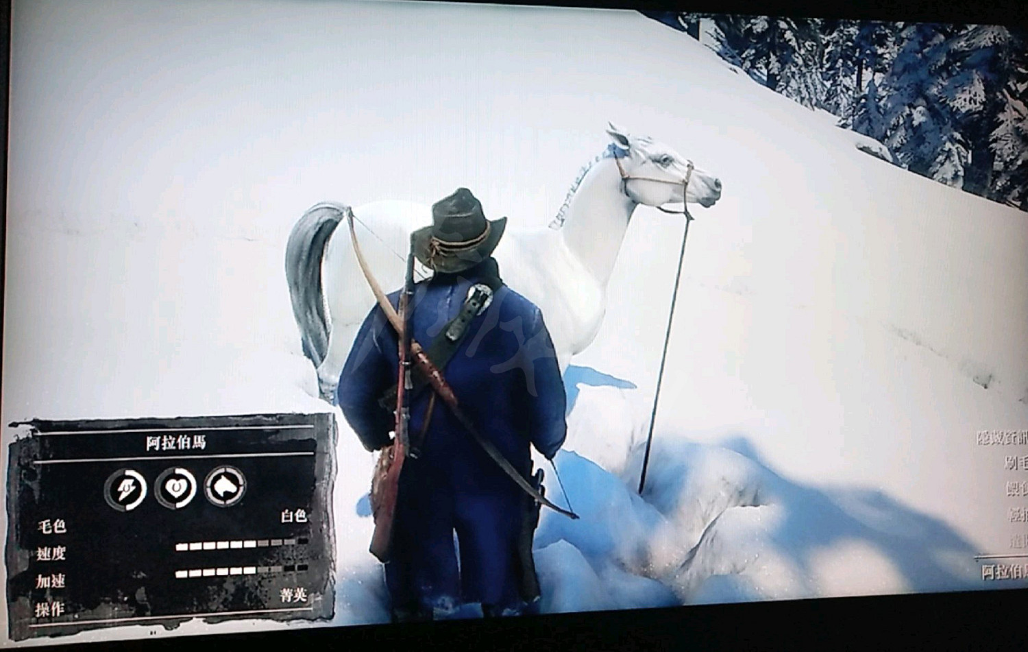 《荒野大鏢客2》阿拉伯馬具體位置說明 精英馬匹阿拉伯馬在哪裡? 《荒野大鏢客2》阿拉伯馬具體位置說明 精英馬匹阿拉伯馬在哪裡?