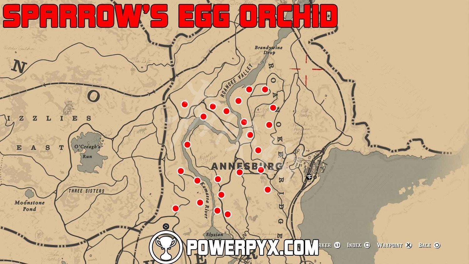 《荒野大鏢客2》全稀有花朵位置地圖示注 稀有花朵在哪裡？