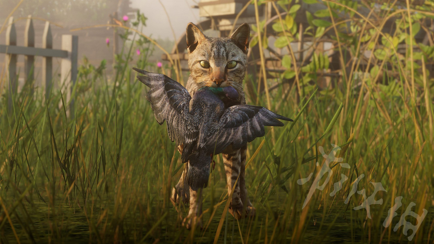 《荒野大鏢客2》有哪些特別NPC事件？特別NPC事件一覽