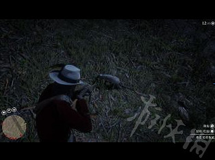 《荒野大鏢客2》標本任務怎麽做？標本任務流程心得