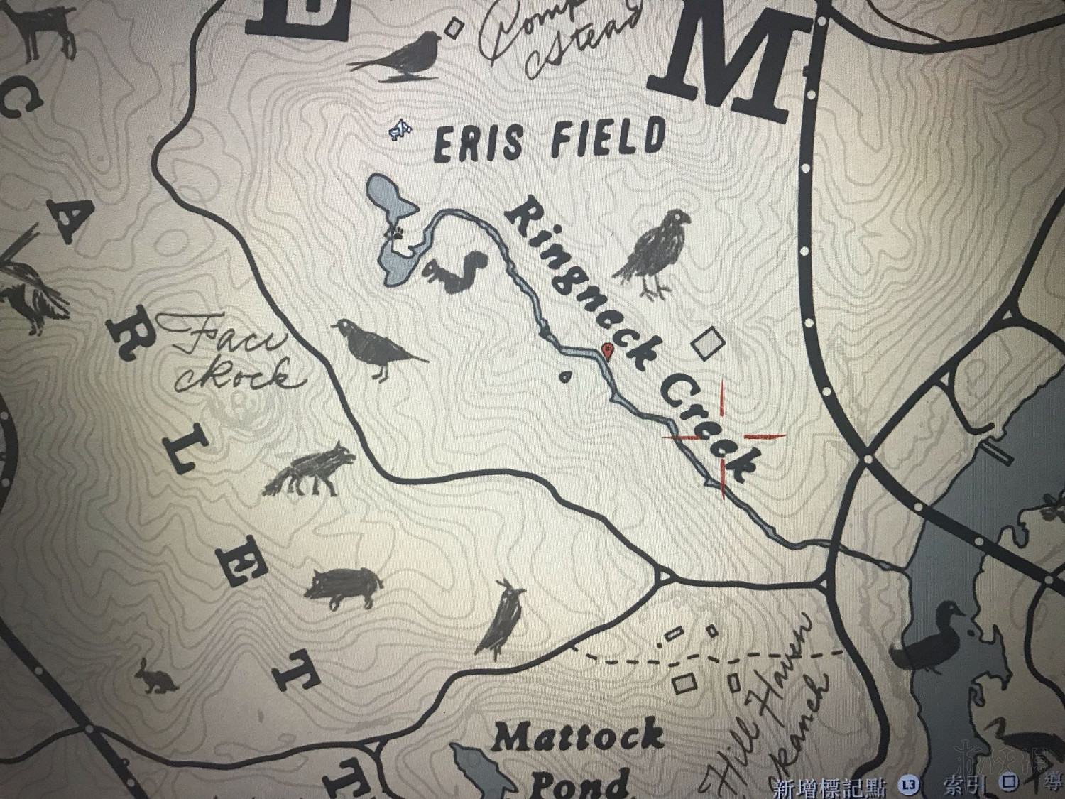 《荒野大鏢客2》鳥類捕獵地點推薦 野生動物藝術展覽任務怎麽做