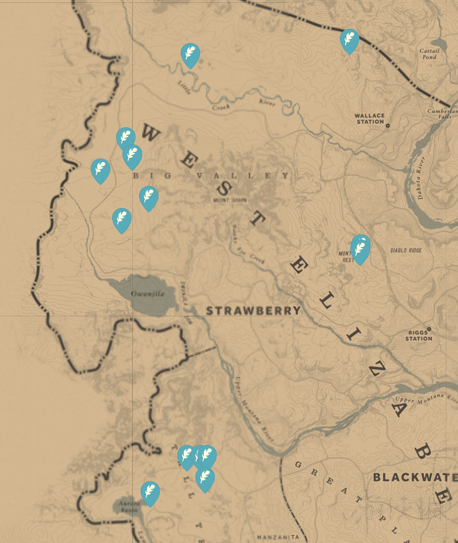 《荒野大鏢客2》收集地圖全匯總 有哪些收集要素？