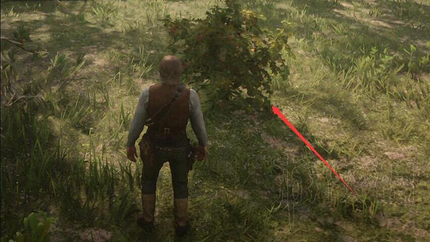 《荒野大鏢客2》挑戰任務解鎖條件匯總 挑戰獎勵大全