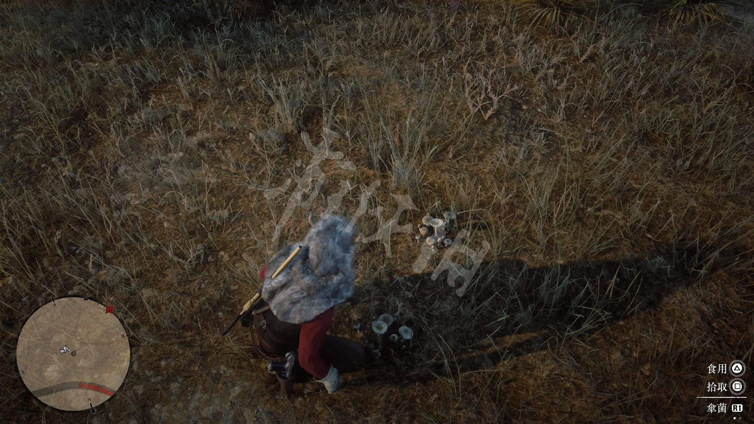 《荒野大鏢客2》全藥草位置圖文分享 藥草在哪裡? 《荒野大鏢客2》全藥草位置圖文分享 藥草在哪裡?