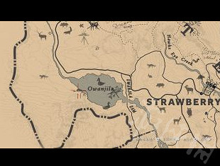 《荒野大鏢客2》標本任務怎麽做？標本任務流程心得