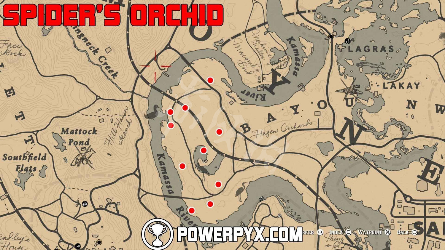 《荒野大鏢客2》全稀有花朵位置地圖示注 稀有花朵在哪裡？