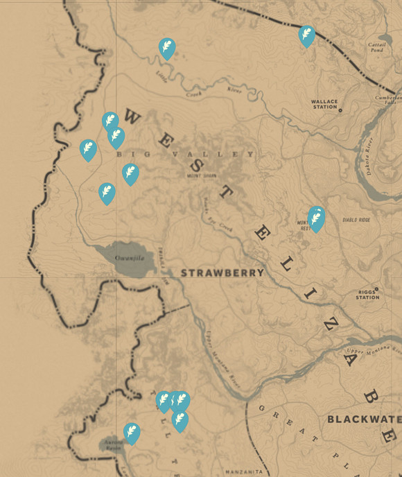 《荒野大鏢客2》異國情調支線收集物位置一覽