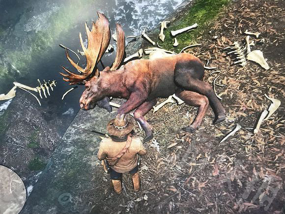 《荒野大鏢客2》非傳說駝鹿在哪裡狩獵？非傳說駝鹿刷新地點指南