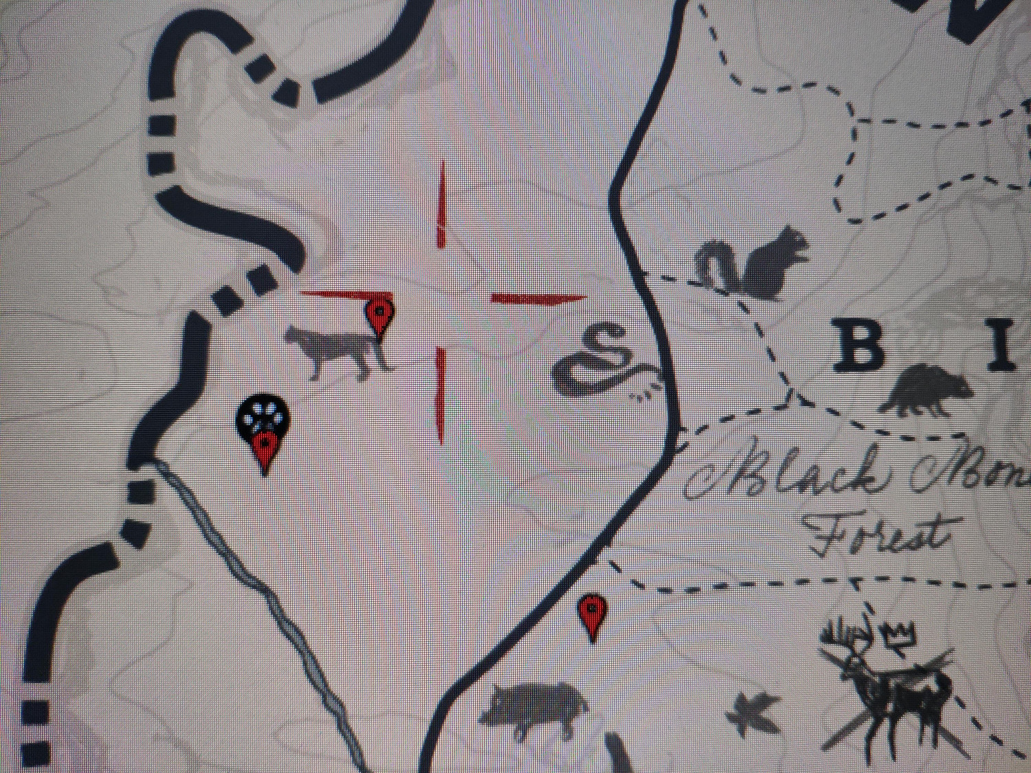 《荒野大鏢客2》全毛皮獲得方法介紹 全傳奇動物位置說明