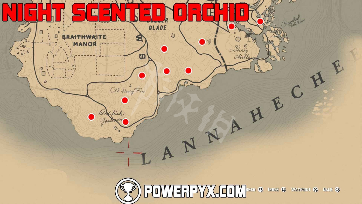 《荒野大鏢客2》全稀有花朵位置地圖示注 稀有花朵在哪裡？