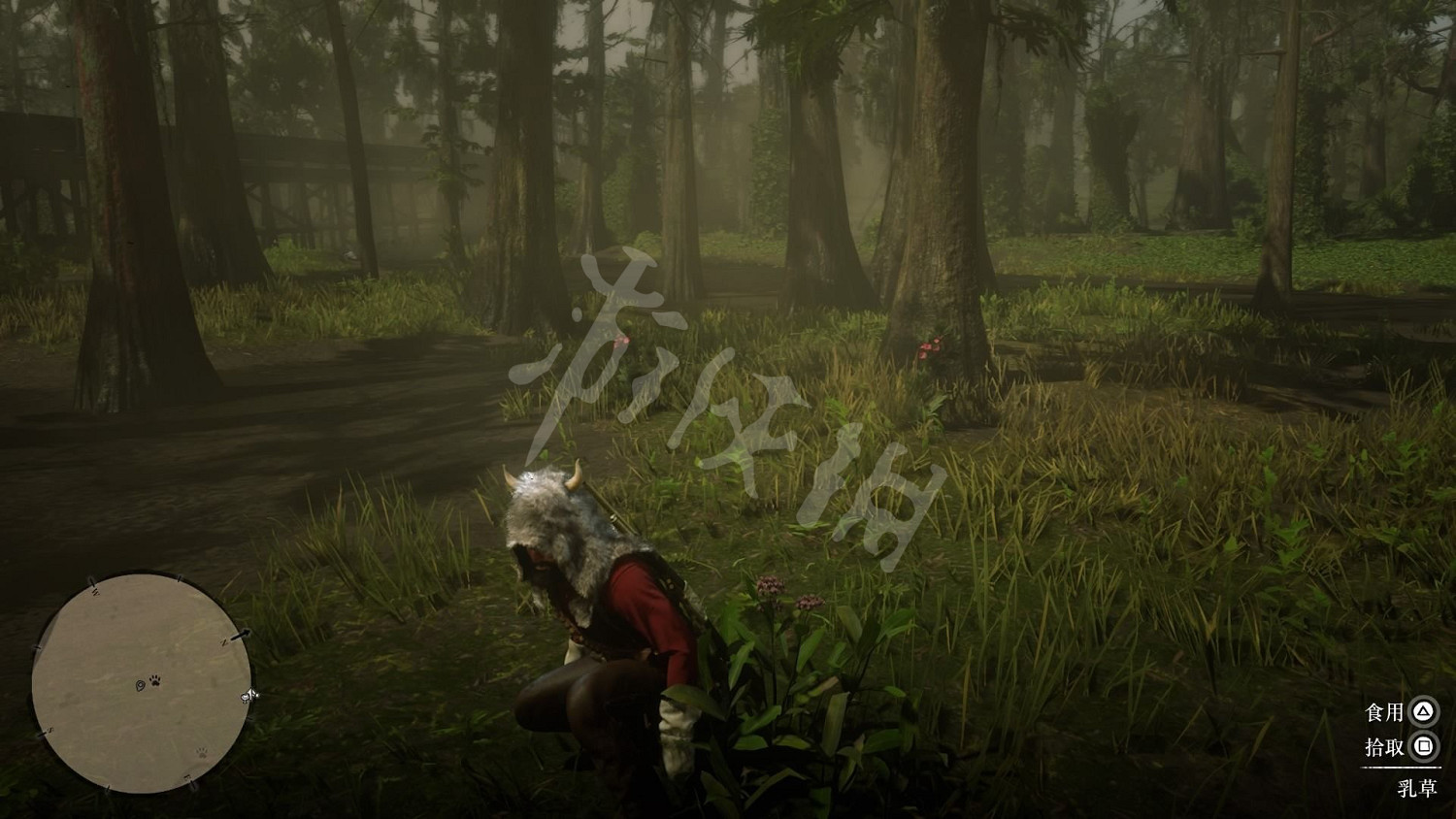 《荒野大鏢客2》全藥草位置圖文分享 藥草在哪裡? 《荒野大鏢客2》全藥草位置圖文分享 藥草在哪裡?