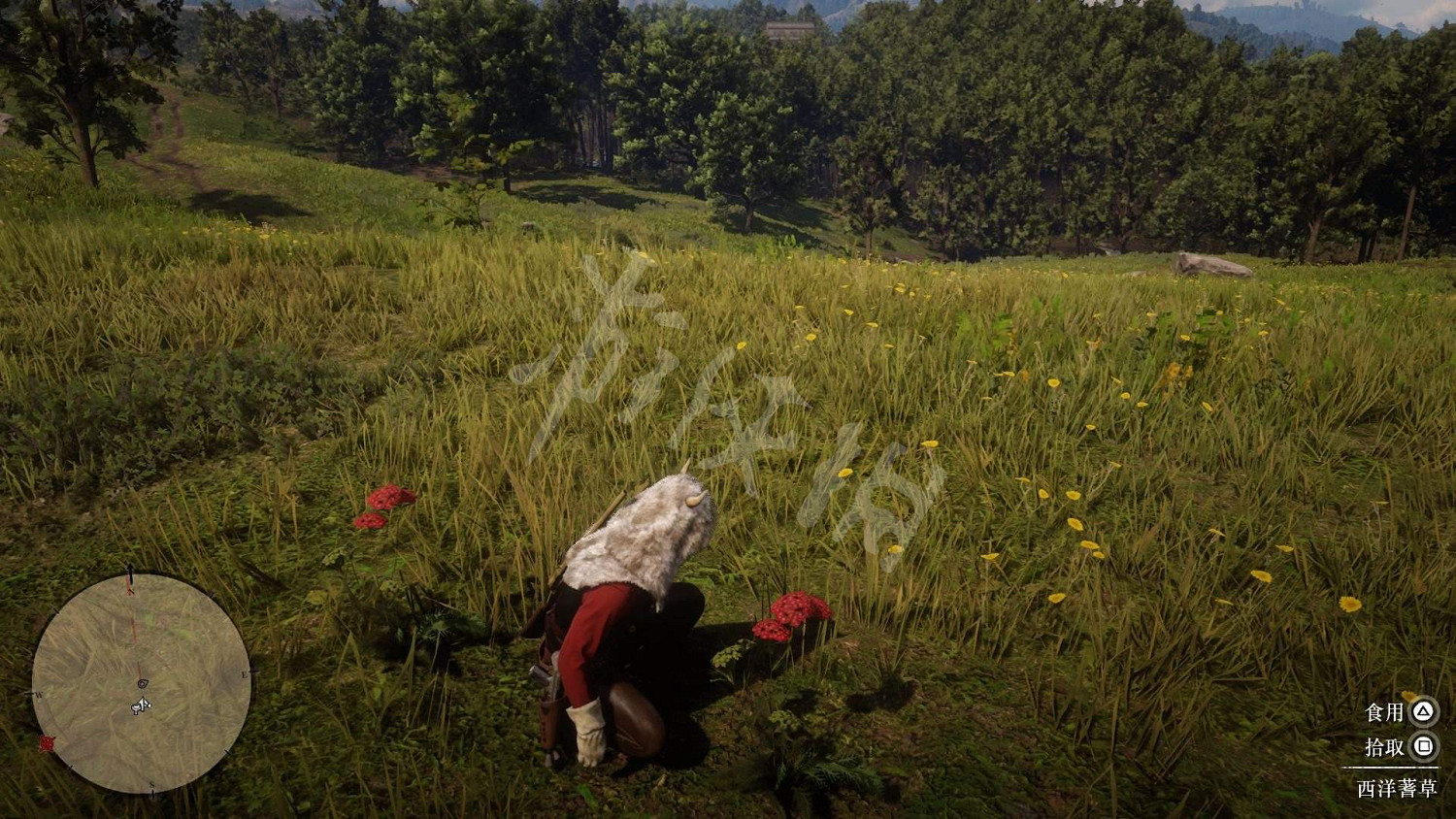 《荒野大鏢客2》全藥草位置圖文分享 藥草在哪裡？
