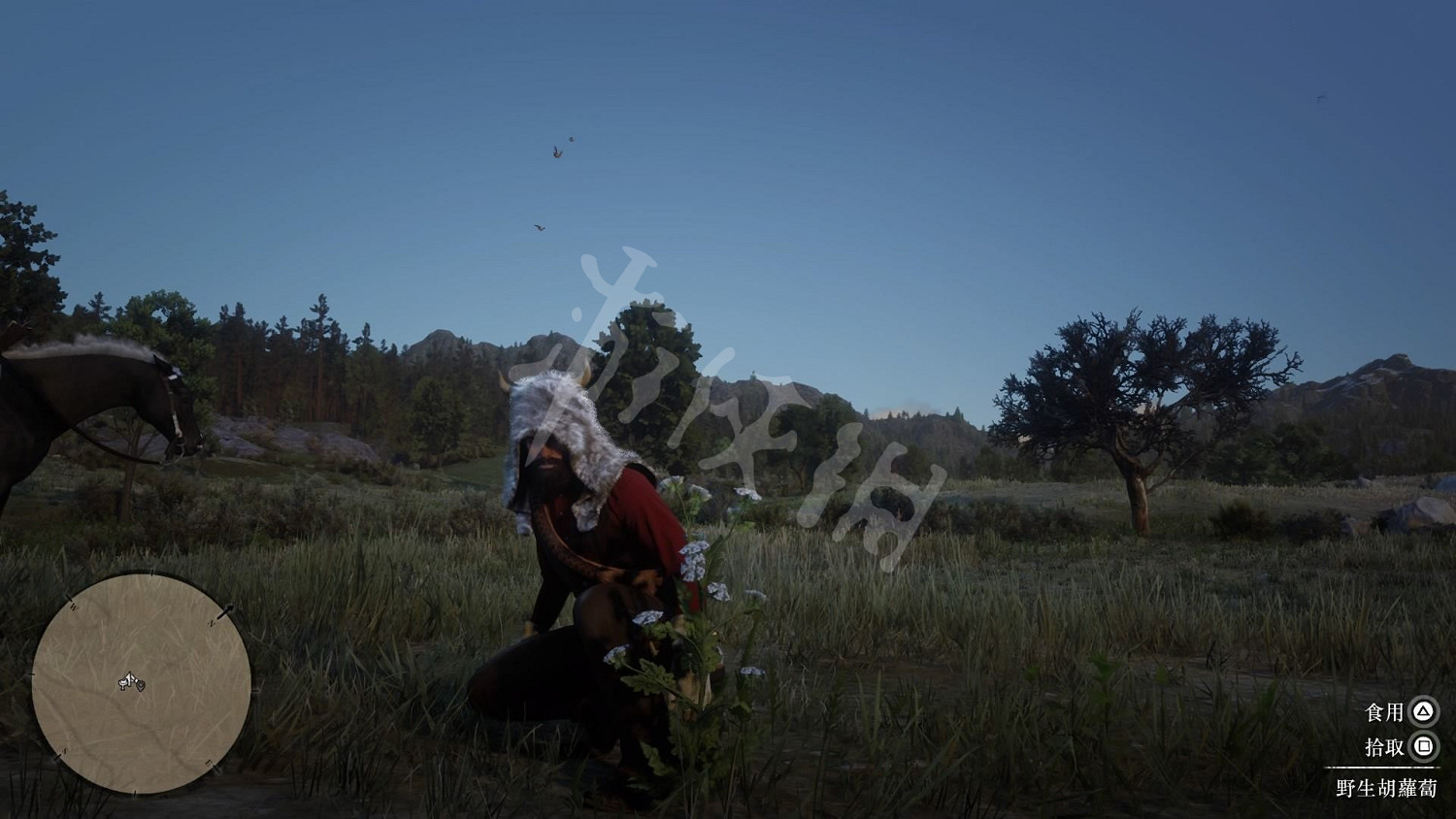 《荒野大鏢客2》全藥草位置圖文分享 藥草在哪裡？