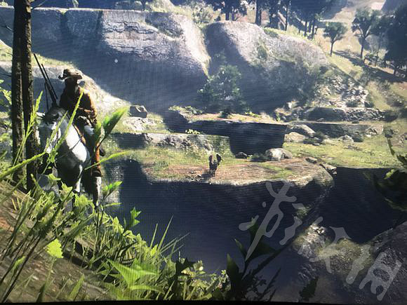 《荒野大鏢客2》非傳說駝鹿在哪裡狩獵？非傳說駝鹿刷新地點指南