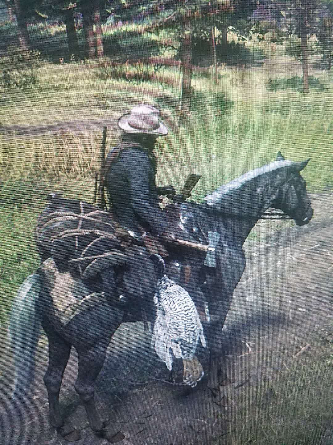 《荒野大鏢客2》雙頭斧位置地圖示注 斧頭在哪裡? 《荒野大鏢客2》雙頭斧位置地圖示注 斧頭在哪裡?