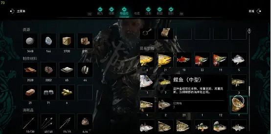 《刺客教條英靈殿》釣魚怎麽玩?釣魚技巧分享 《刺客教條英靈殿》釣魚怎麽玩?釣魚技巧分享