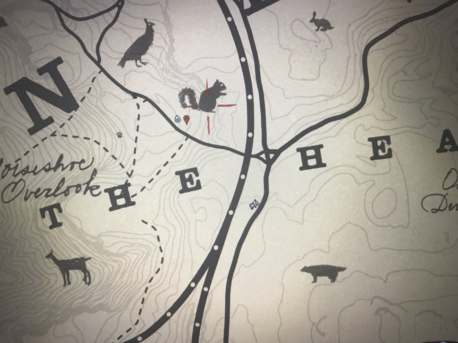 《荒野大鏢客2》鳥類捕獵地點推薦 野生動物藝術展覽任務怎麽做