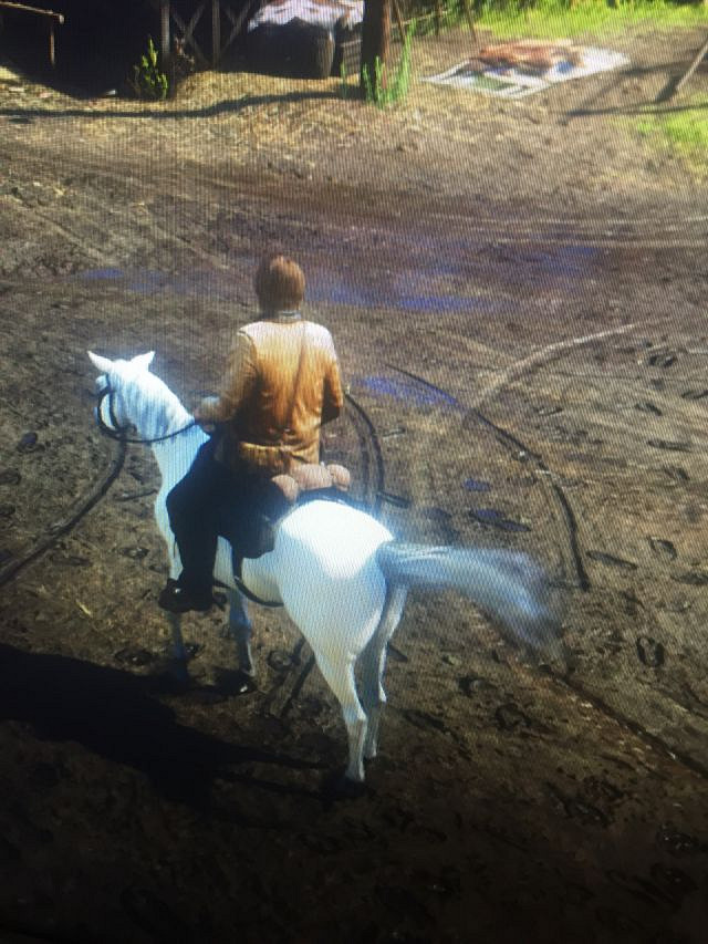 《荒野大鏢客2》稀有阿拉伯馬獲取攻略 稀有阿拉伯馬位置一覽 《荒野大鏢客2》稀有阿拉伯馬獲取攻略 稀有阿拉伯馬位置一覽