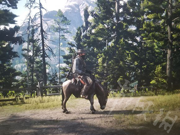 《荒野大鏢客2》毛驢和霰彈槍在哪裡？毛驢和霰彈槍位置一覽