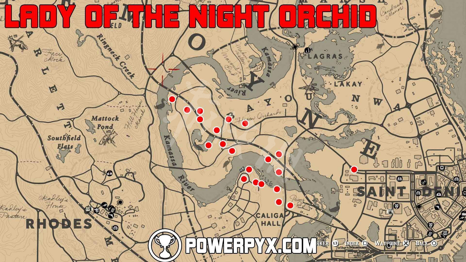 《荒野大鏢客2》全稀有花朵位置地圖示注 稀有花朵在哪裡？