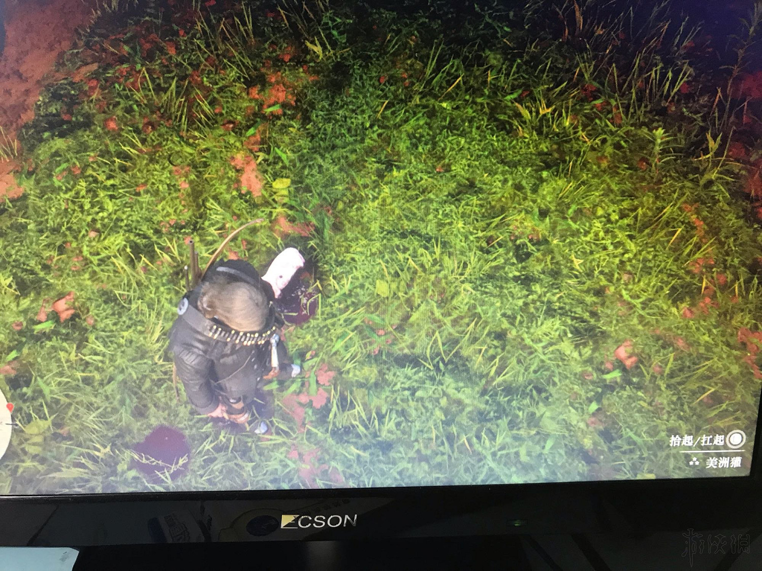 《荒野大鏢客2》獾在哪裡？獾獵捕位置推薦