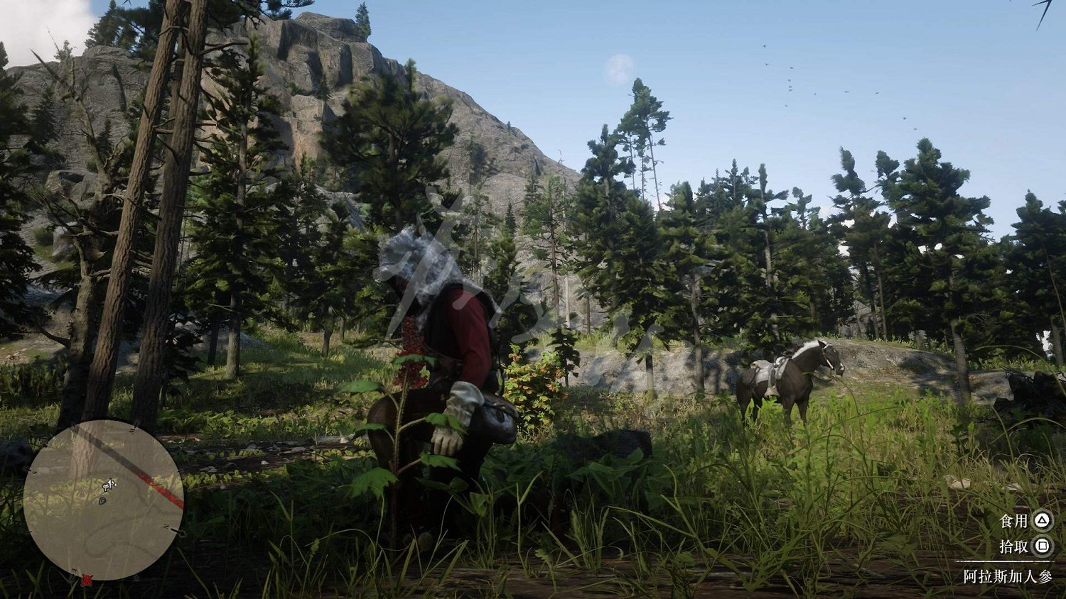 《荒野大鏢客2》全藥草位置圖文分享 藥草在哪裡？