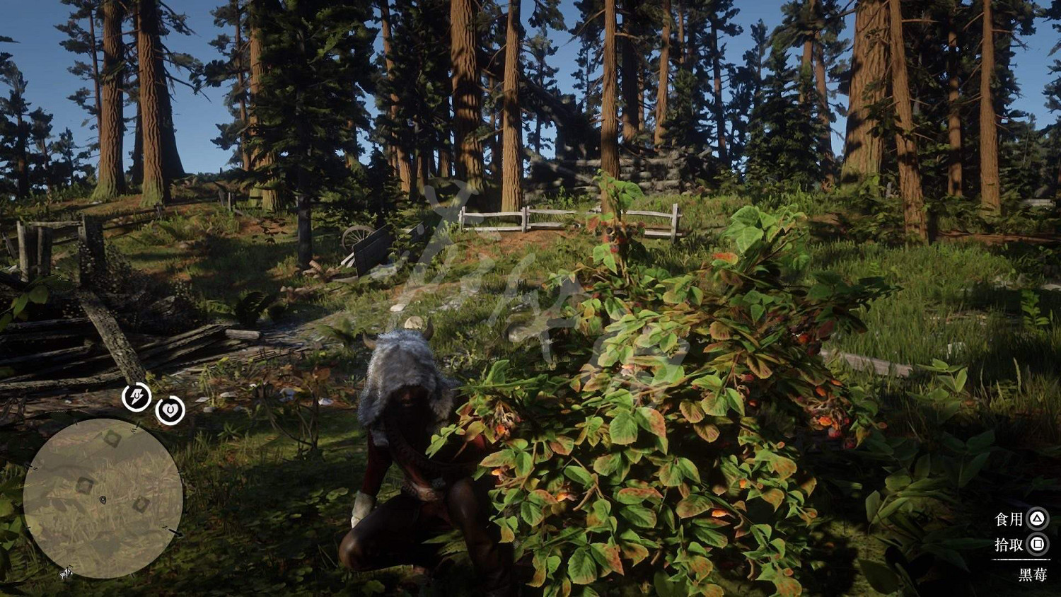 《荒野大鏢客2》全藥草位置圖文分享 藥草在哪裡？