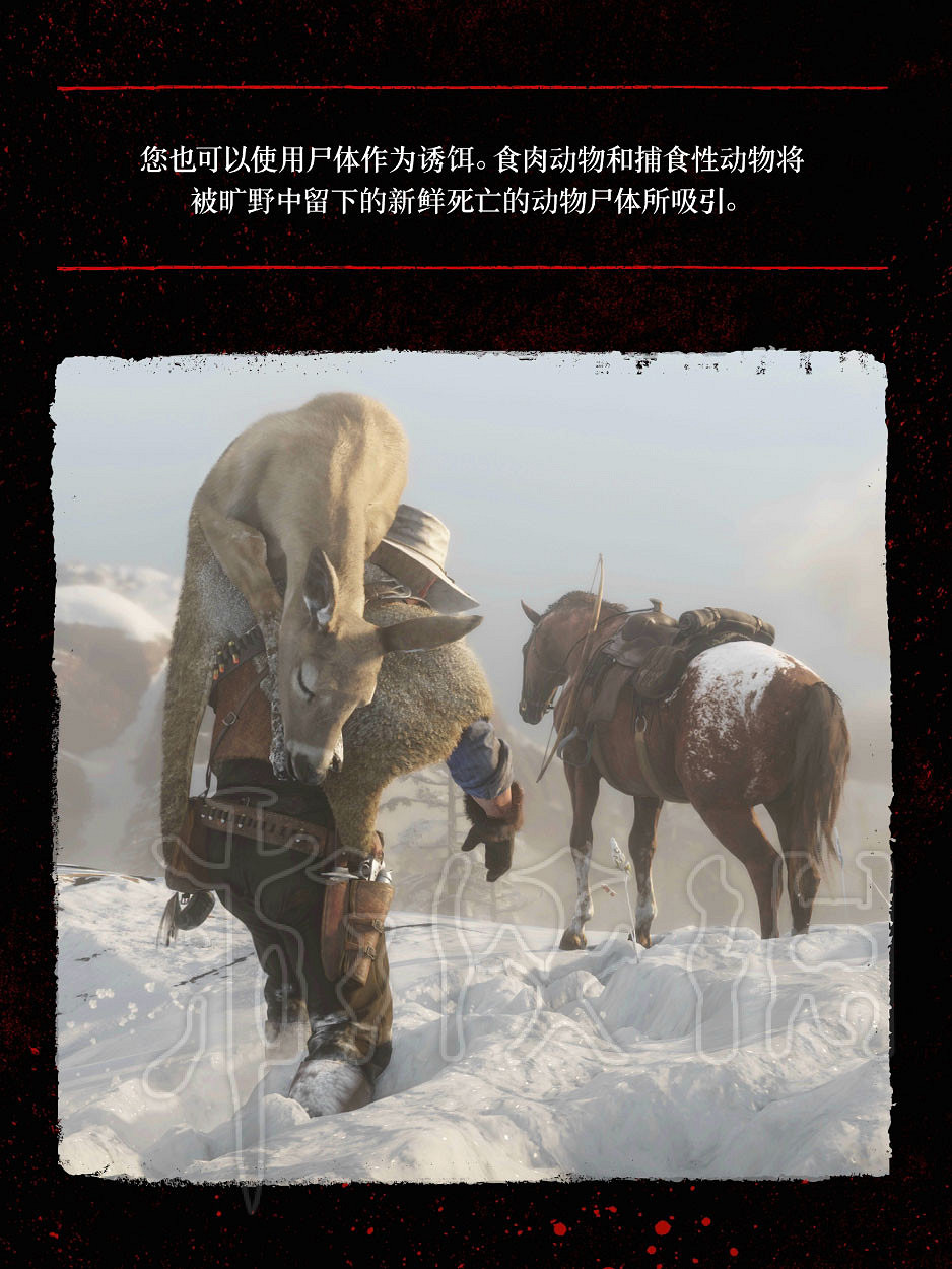 《荒野大鏢客2》小遊戲介紹 大表哥2中小遊戲有哪些? 《荒野大鏢客2》小遊戲介紹 大表哥2中小遊戲有哪些?