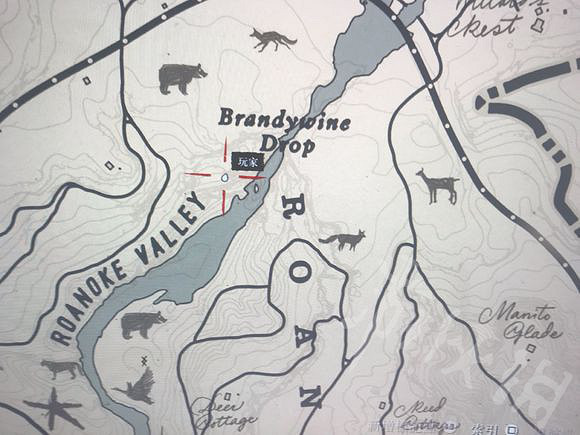 《荒野大鏢客2》非傳說駝鹿在哪裡狩獵？非傳說駝鹿刷新地點指南