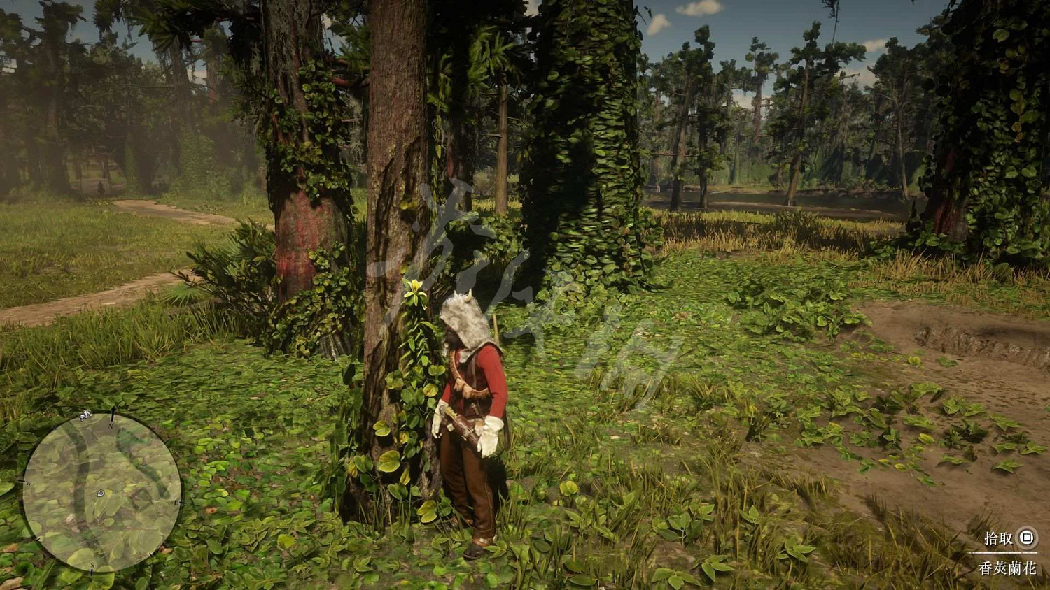 《荒野大鏢客2》全藥草位置圖文分享 藥草在哪裡? 《荒野大鏢客2》全藥草位置圖文分享 藥草在哪裡?