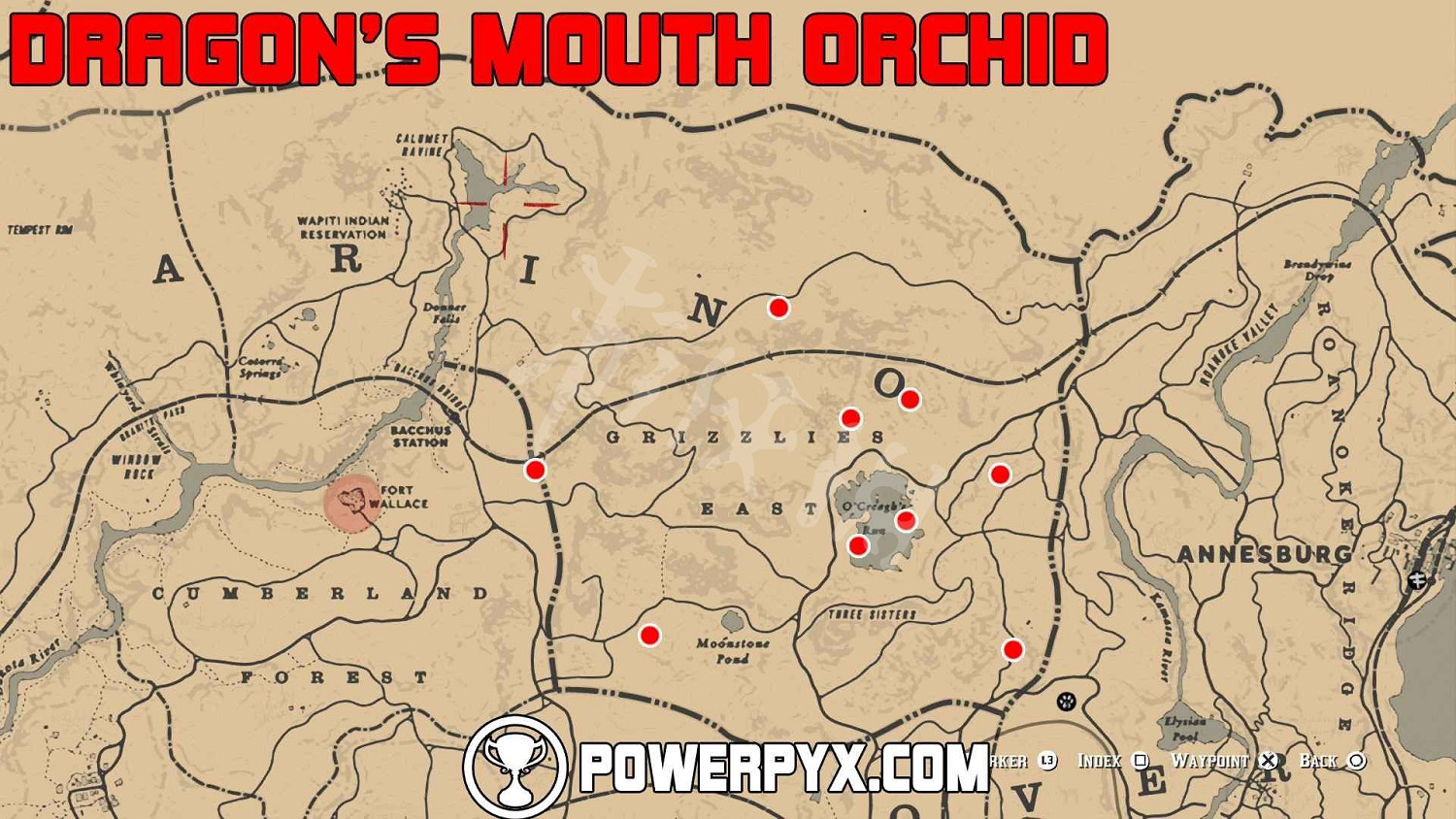 《荒野大鏢客2》全稀有花朵位置地圖示注 稀有花朵在哪裡？