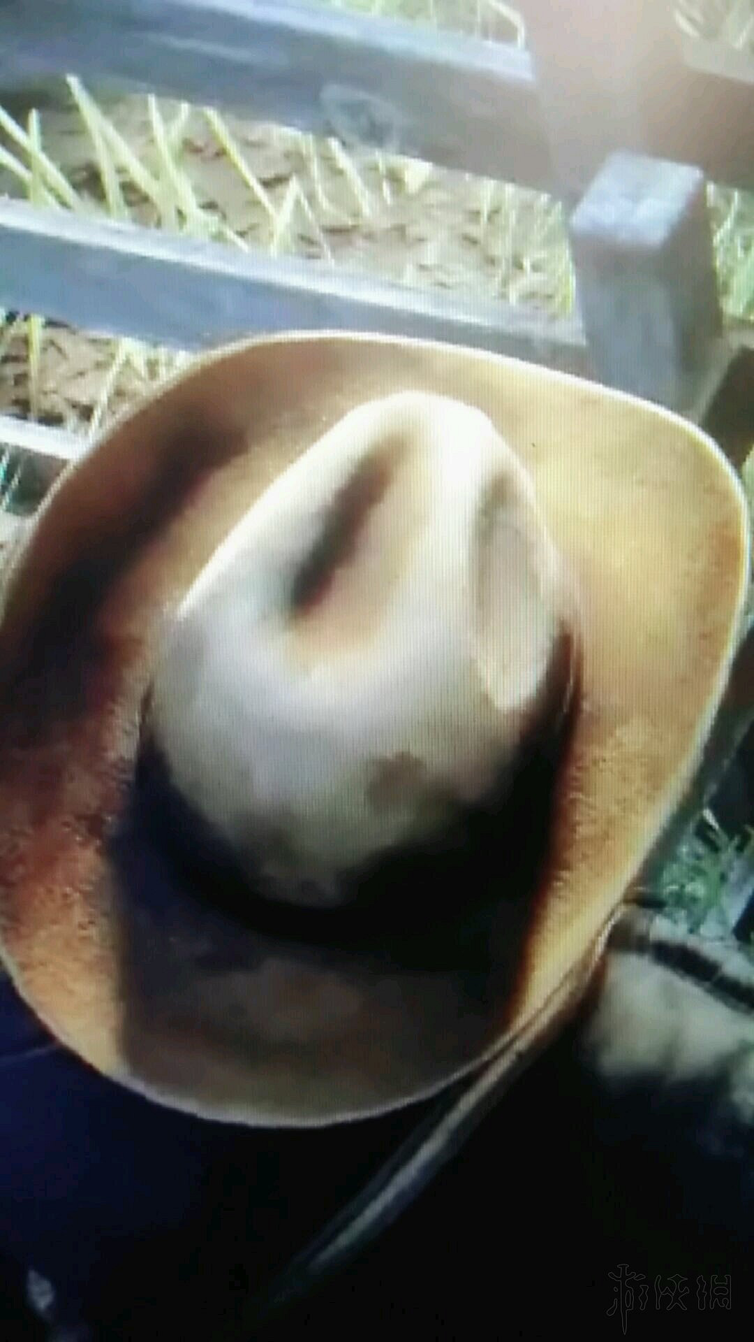 《荒野大鏢客2》帽子丟了怎麽辦？稀有帽子獲得及帽子丟失找回方法