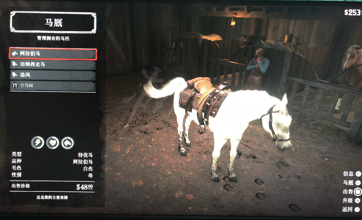 《荒野大鏢客2》馬馴服小技巧 馬匹怎麽馴服? 《荒野大鏢客2》馬馴服小技巧 馬匹怎麽馴服?