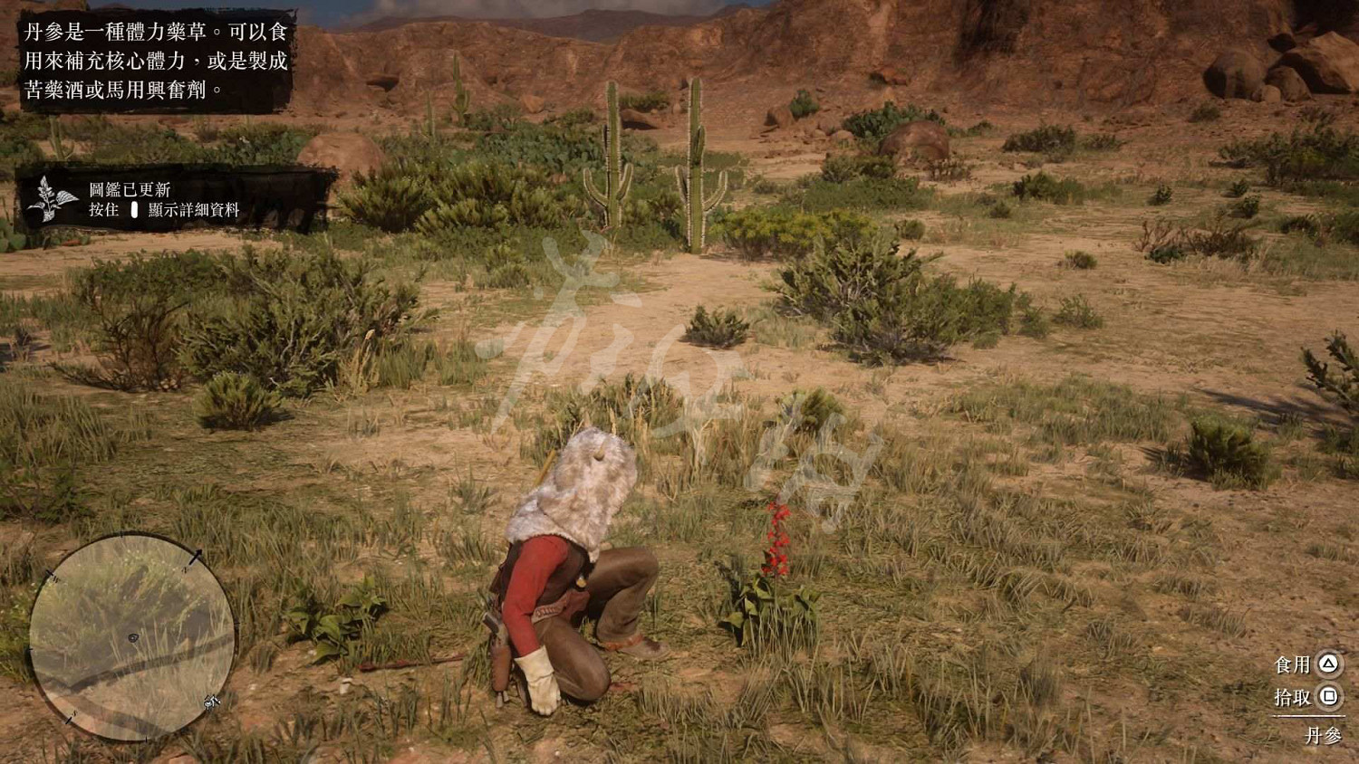 《荒野大鏢客2》全藥草位置圖文分享 藥草在哪裡? 《荒野大鏢客2》全藥草位置圖文分享 藥草在哪裡?