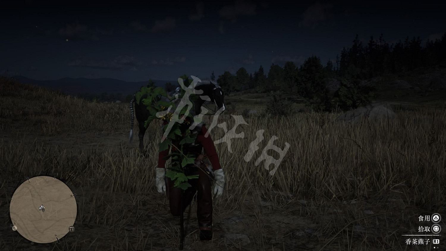 《荒野大鏢客2》全藥草位置圖文分享 藥草在哪裡? 《荒野大鏢客2》全藥草位置圖文分享 藥草在哪裡?