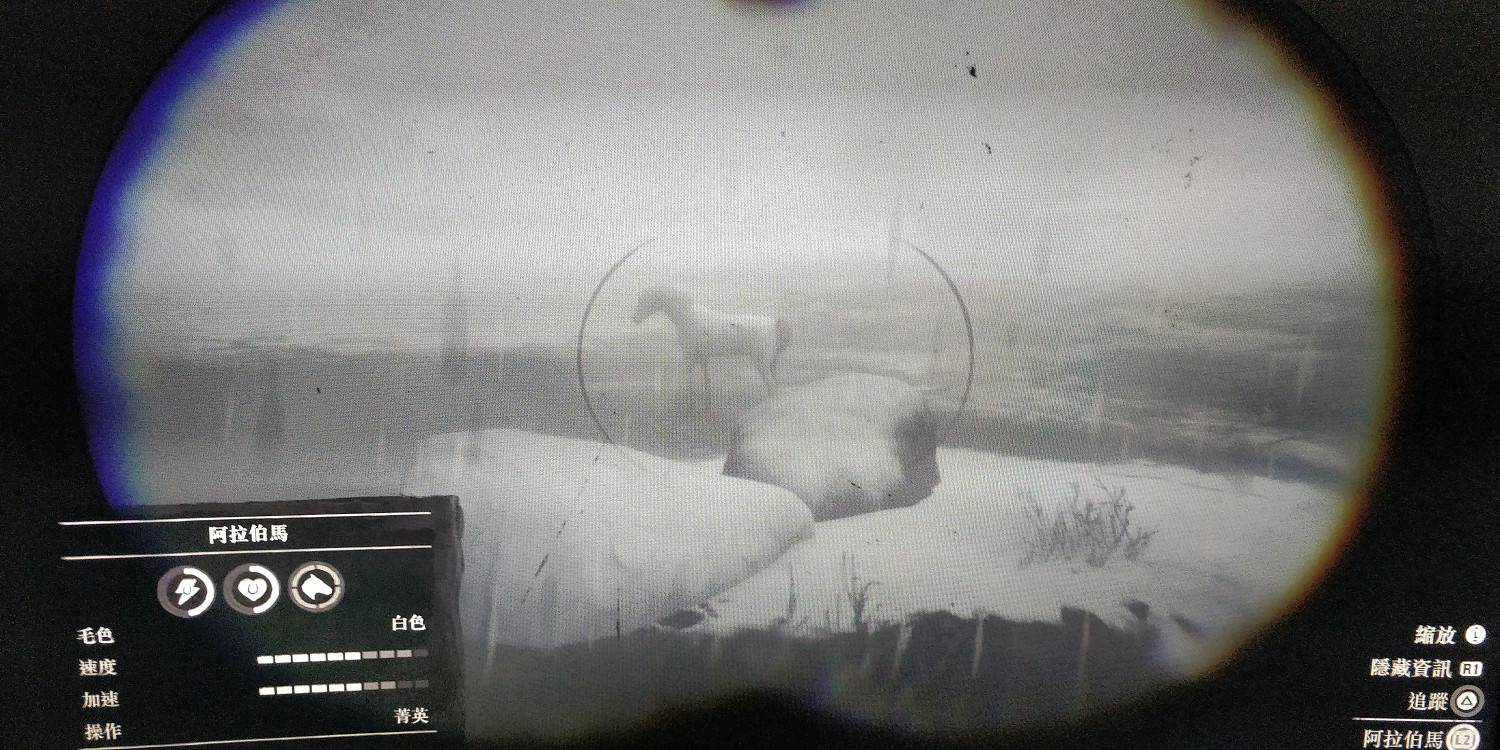 《荒野大鏢客2》選馬方法影片及阿拉伯馬位置介紹 怎麽選馬? 《荒野大鏢客2》選馬方法影片及阿拉伯馬位置介紹 怎麽選馬?