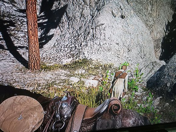 《荒野大鏢客2》石雕解密攻略 三金條石雕怎麽解密? 《荒野大鏢客2》石雕解密攻略 三金條石雕怎麽解密?