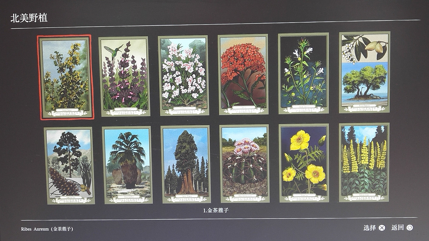 《荒野大鏢客2》全香煙卡位置一覽 香煙卡收集技巧