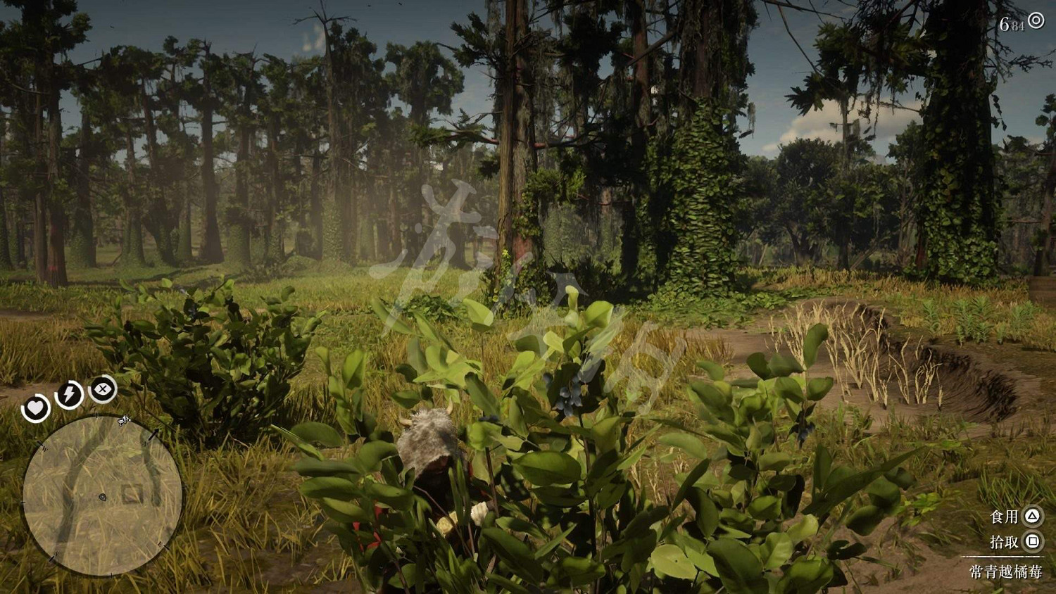 《荒野大鏢客2》全藥草位置圖文分享 藥草在哪裡？