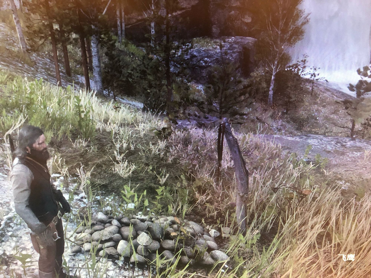 《荒野大鏢客2》同伴的墓地位置圖文攻略 幫派成員墳墓在哪裡