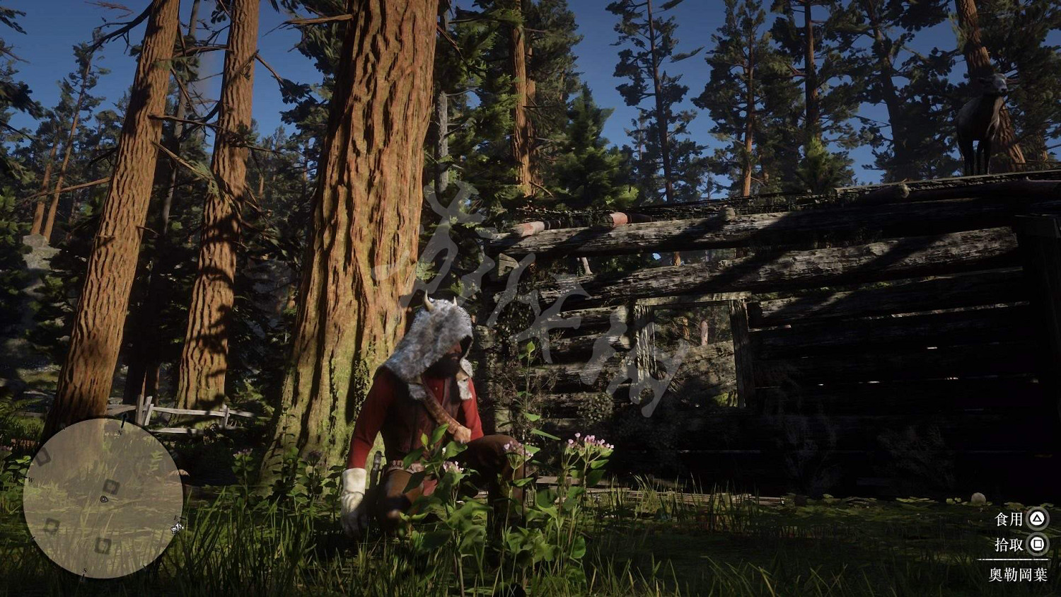 《荒野大鏢客2》全藥草位置圖文分享 藥草在哪裡? 《荒野大鏢客2》全藥草位置圖文分享 藥草在哪裡?