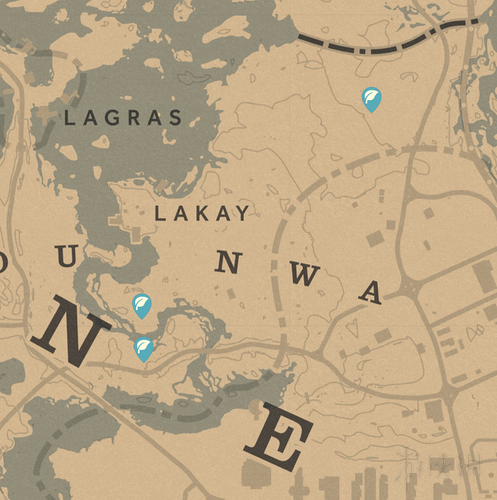 《荒野大鏢客2》收集地圖全匯總 有哪些收集要素？