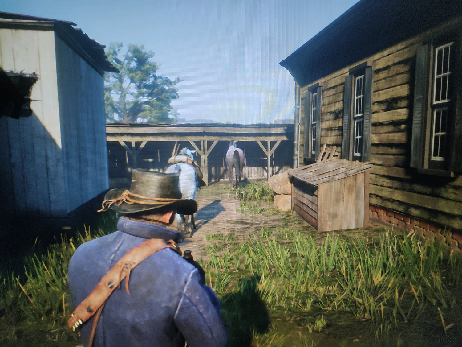 《荒野大鏢客2》全毛皮獲得方法介紹 全傳奇動物位置說明