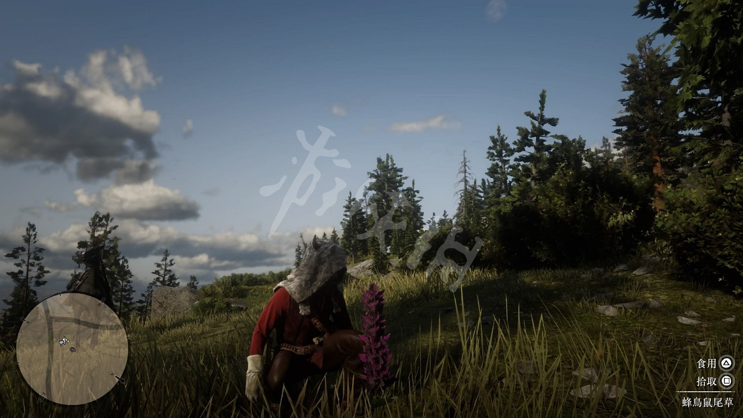 《荒野大鏢客2》全藥草位置圖文分享 藥草在哪裡? 《荒野大鏢客2》全藥草位置圖文分享 藥草在哪裡?